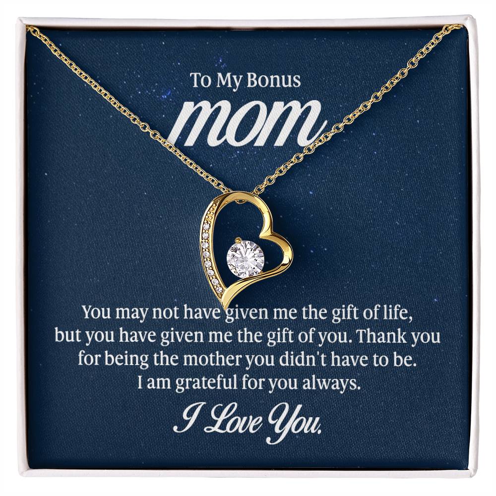 To my mom - you may not have given me the gift of life