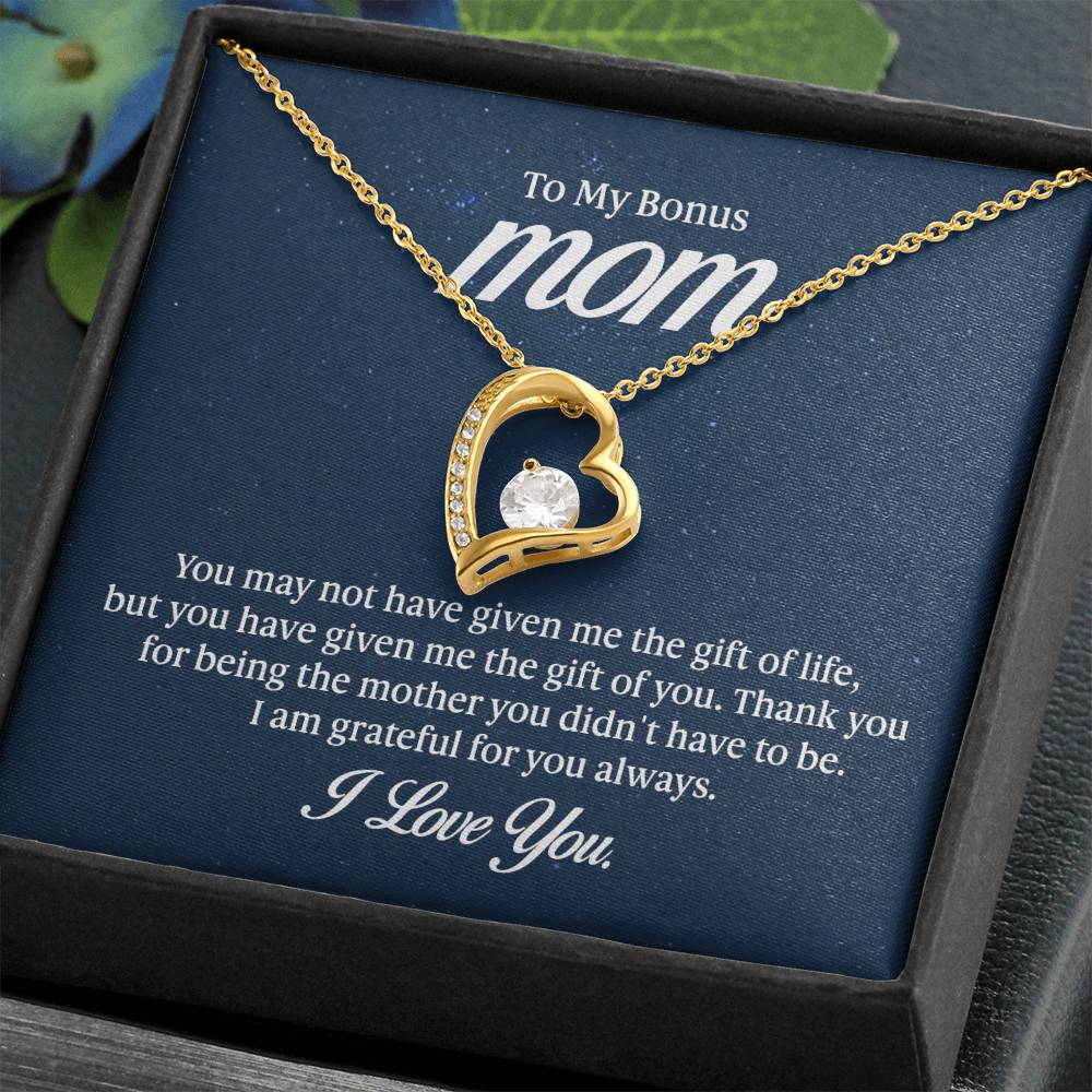 To my mom - you may not have given me the gift of life